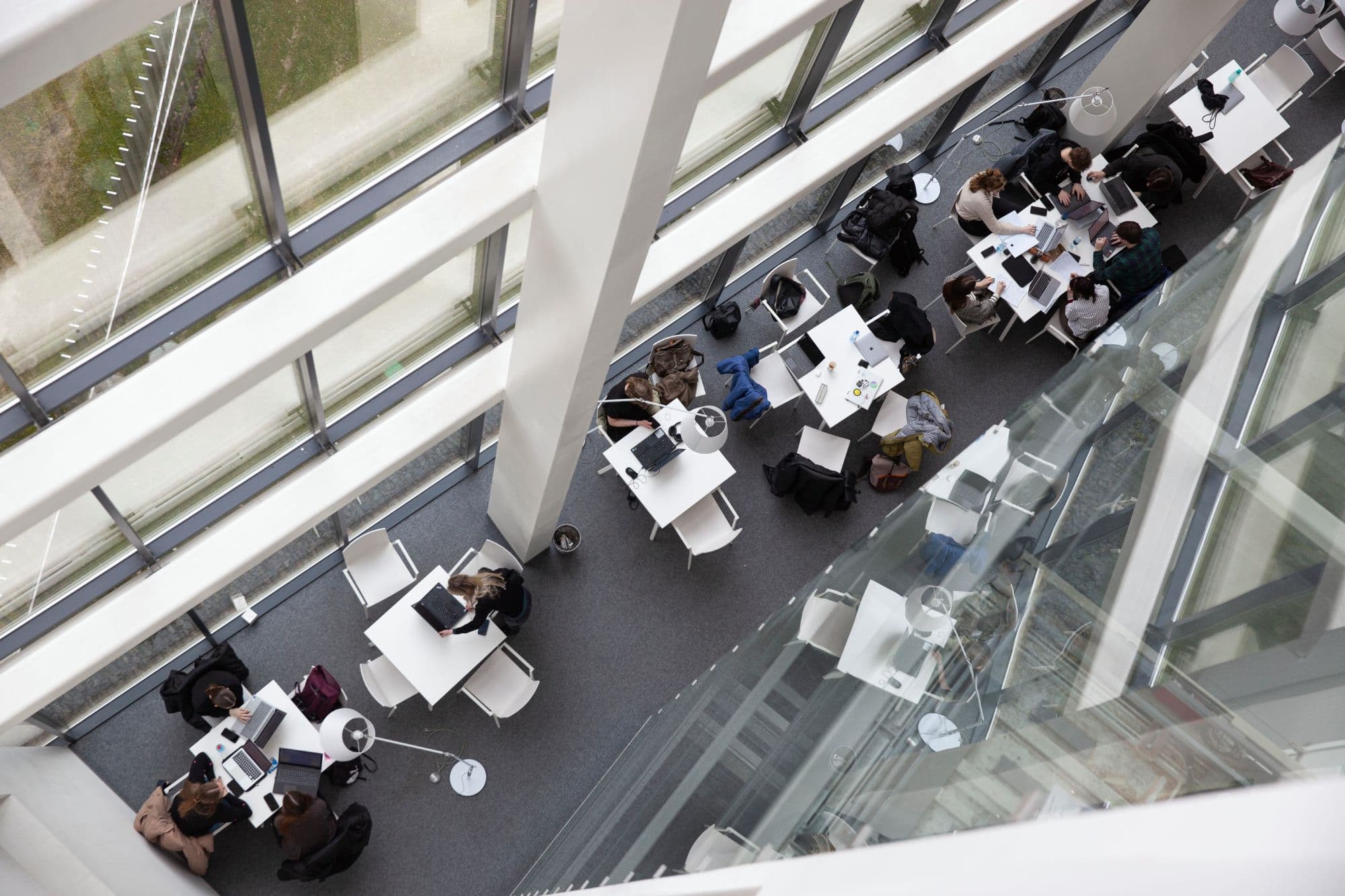 VU MKIC bibliotekos lankytojai