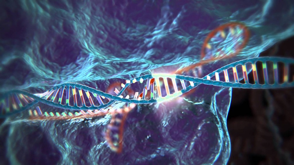 DNR molekulė. YouTube stopkadras